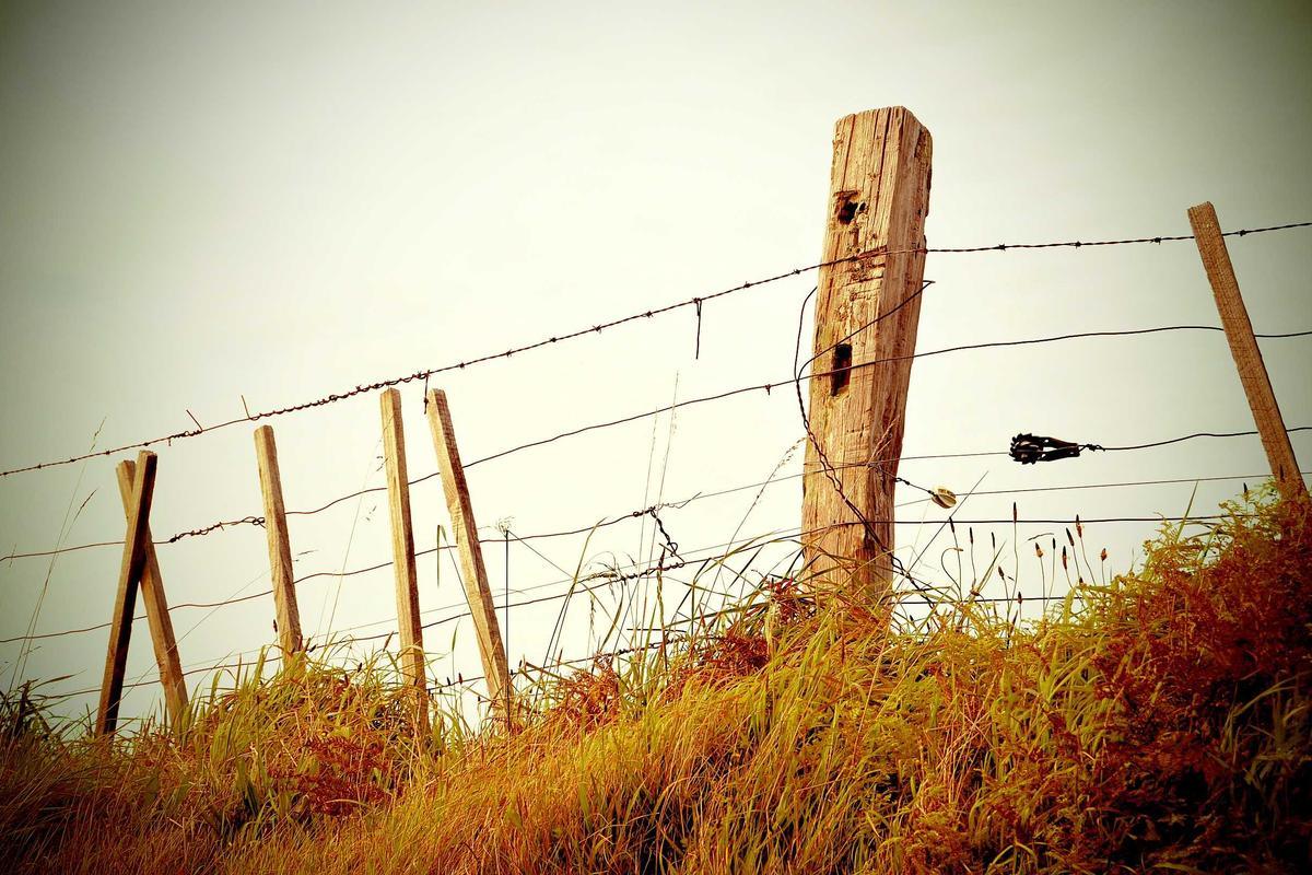 6 Reasons a Living Body Rarely Follows a Straight Line